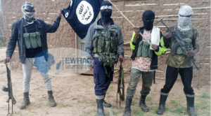 Islamic State terror activity in Mozambique December 2025 to 28 February 2026